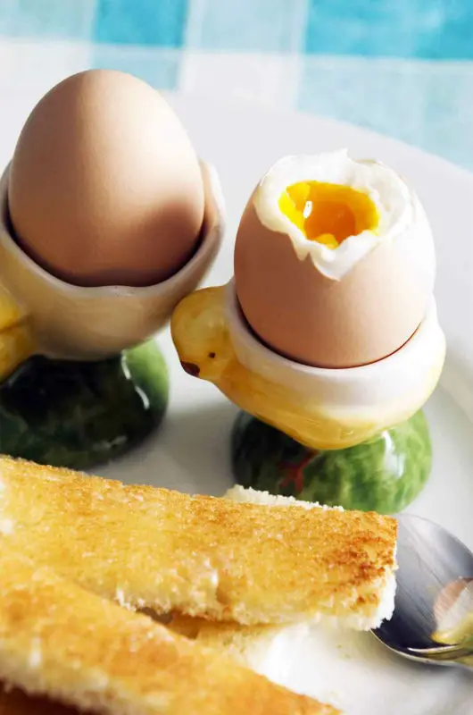 Mini portable electric egg boiler 1pc rapid egg cooker easy to peel hard medium soft boiled eggs maker steamer