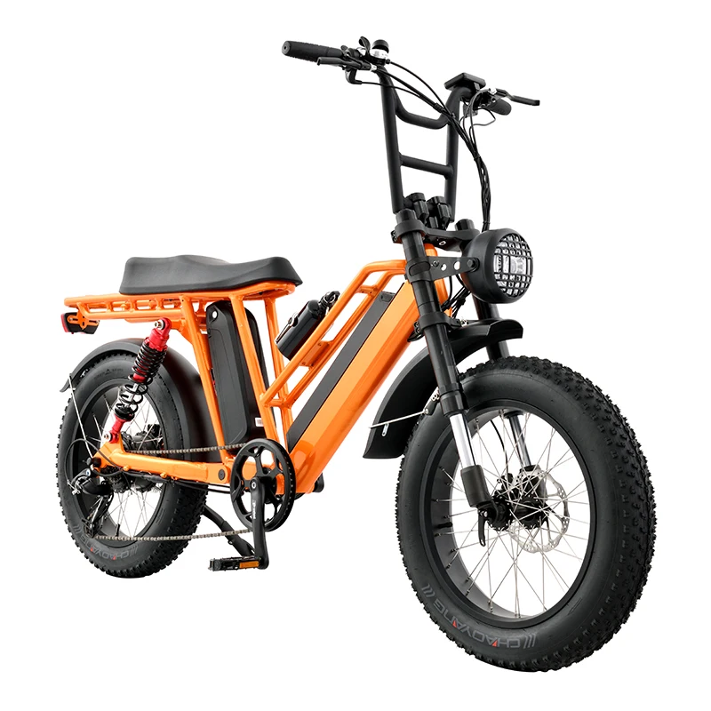 Fat Tire 48v Electric Bike 750W Mountain Bicycle Double Battery 7 Speed Electric Dirt bike Adult off-road Motorcycles