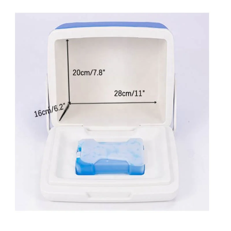 amazon hot sales Picnic Cooler Ice Bag Thermo Refrigerator Fresh Keeping camping food 8L storage PU cooler box