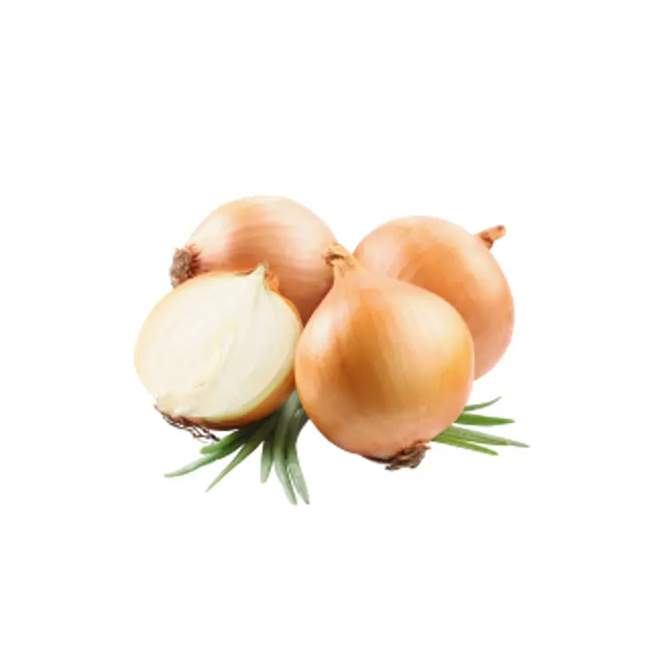 New crop chinese fresh yellow onion and red onion market price