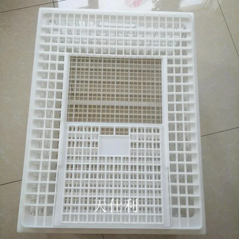 good quality cages for live chickens plastic quail transport cages
