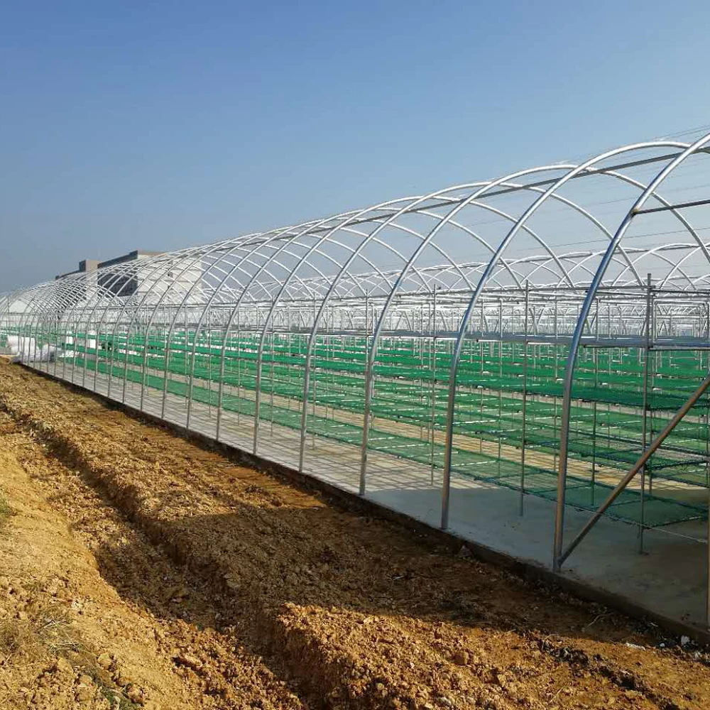 Agricultural mushroom greenhouse mushroom grow house crystal mushroom house