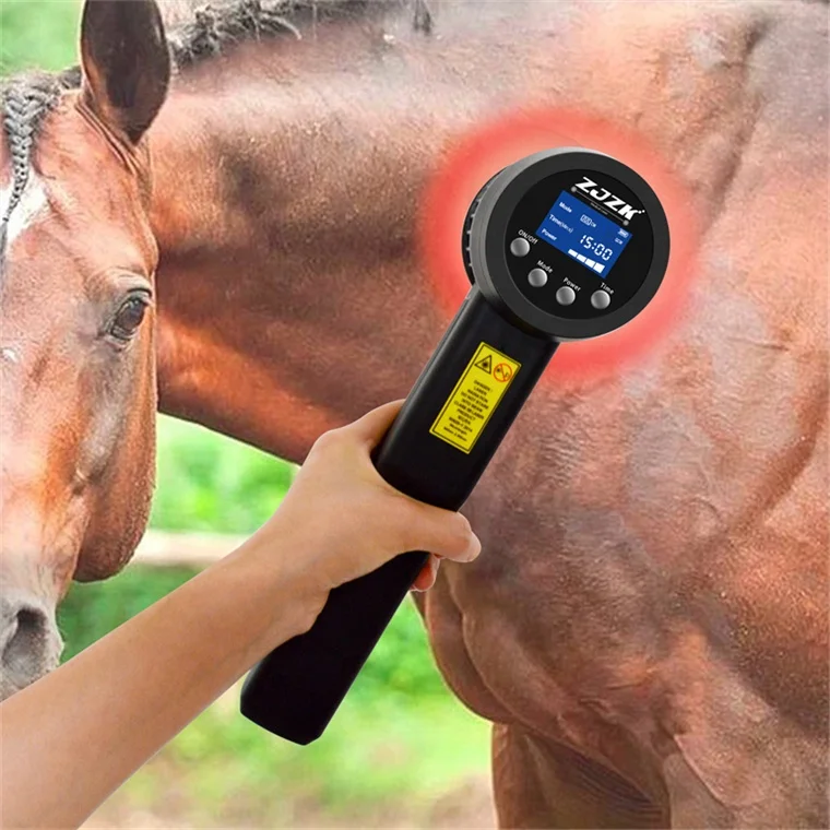 zjzk laser therapi vet cold laser therapy device class 4 home use 3w 650nm and 808nm mixed