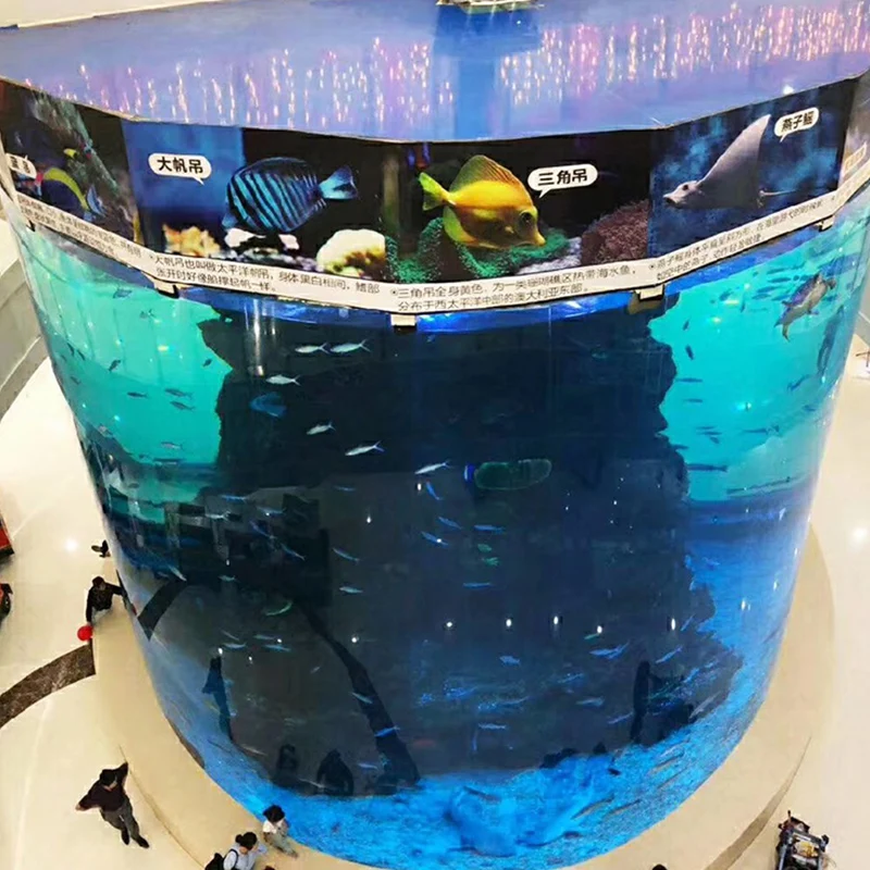 Competitive price premium cylinder plastic acrylic aquarium jellyfish