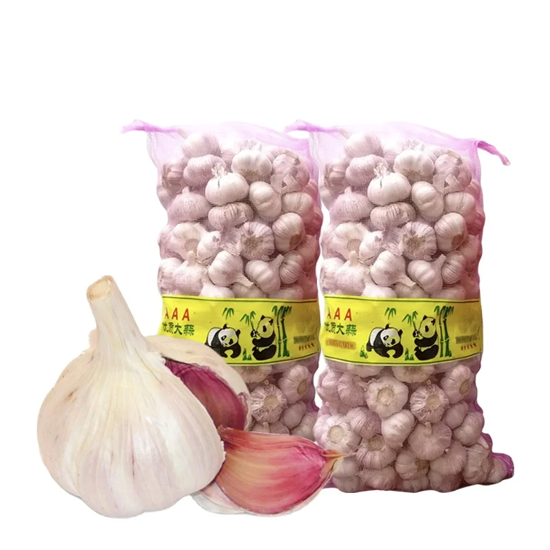 Premium Fresh Garlic Export Pure white red Garlic New crop ajo fresco
