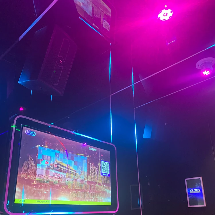 KE-12 full-frequency speaker for high-level KTV private rooms multi-function hall acoustics bar sound professional audio speaker