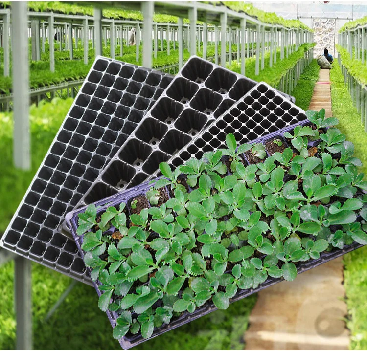 PTE208 Durable Garden Nursery Tray 21/32/50/72/105/128 Cells Flower Vegetables Plant Germination Growing Seedling Trays
