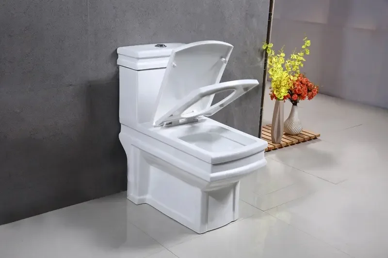 rec-toilet3.jpg