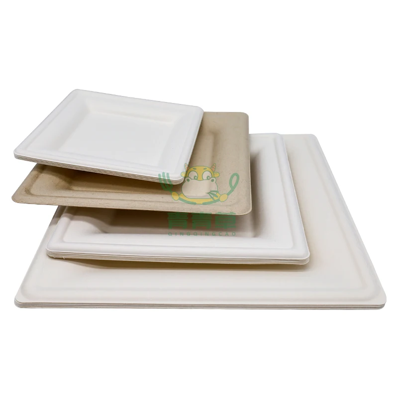 eco-friendly sugarcane food container cake tray cardboard  disposable plates biodegradable