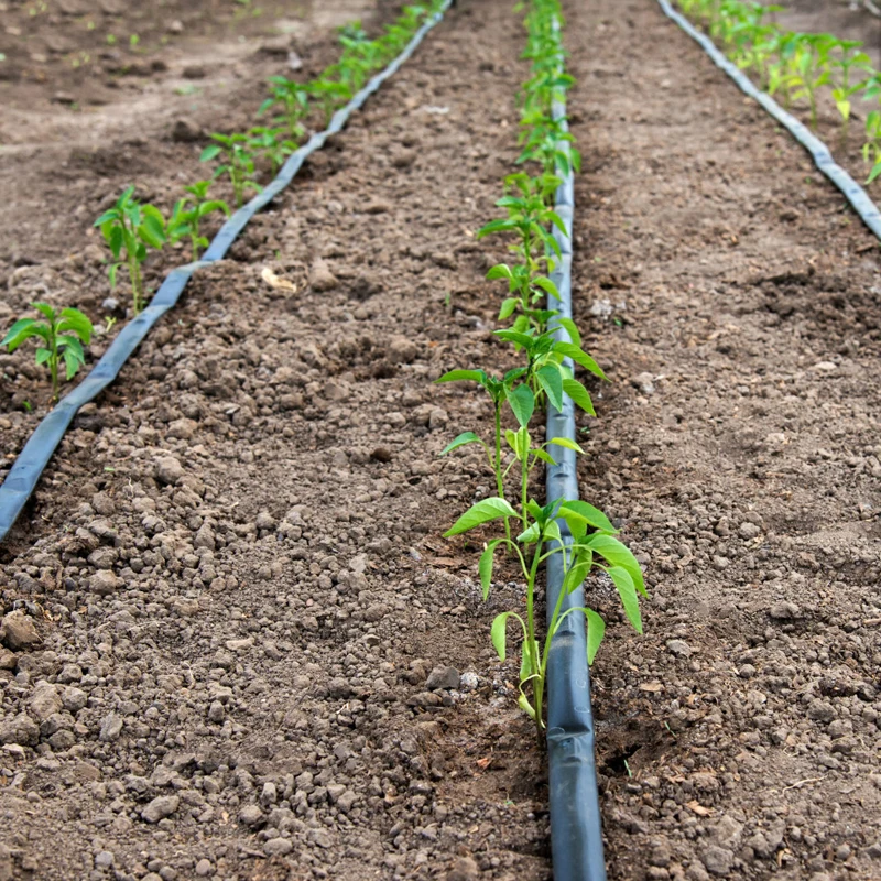 strawberry vegetables Durable drip irrigation pipe single double hole drip belt patch type drip irrigation belt agricultural