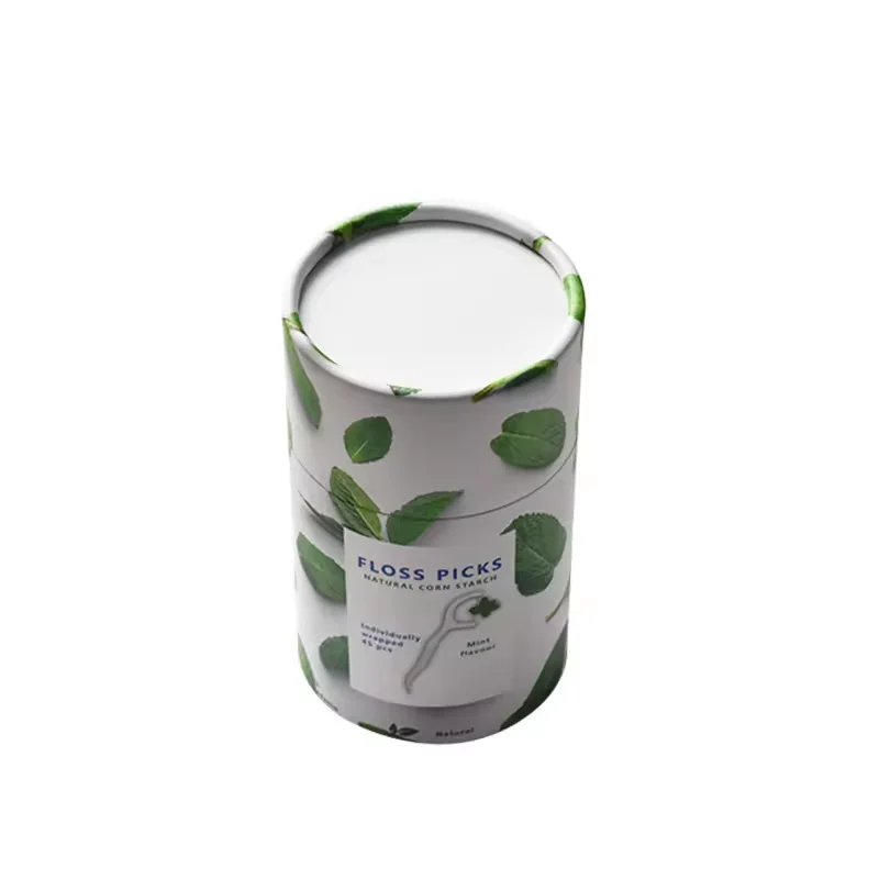 New Eco-friendly Biodegradable Zero Waste Mint Flavor Dental Floss Picks Waxed Bamboo and Nylon for Teeth Cleaning Oral Care