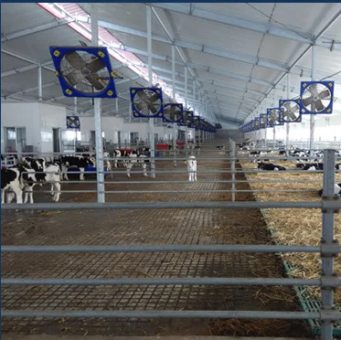 hanging dairy  cow farm cow shed exhaust fan