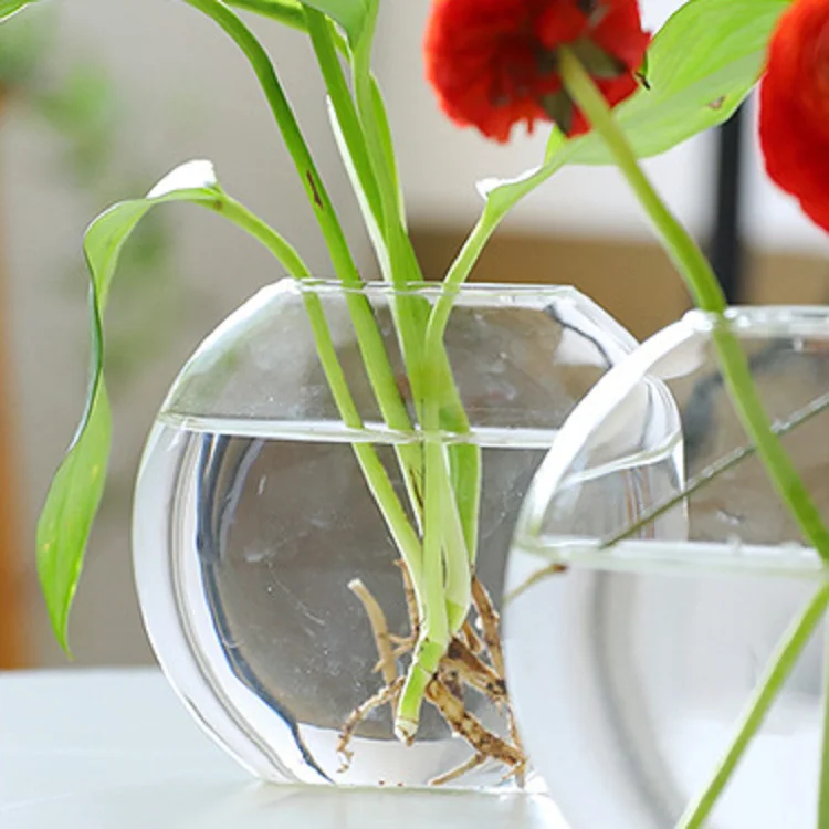 Wind wood art hydroponic green radish decoration glass vase living room home decoration office desktop decoration