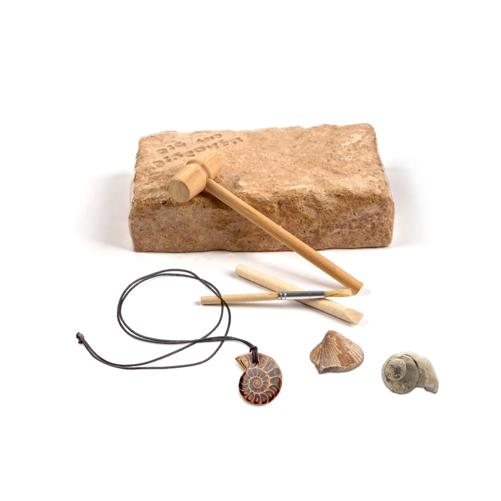Stem Раннее Обучение diy детские товары oem окаменелости игрушки для раскопок Обучающие игрушки набор для раскопания