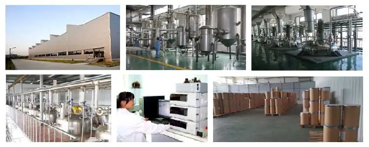 Высокое качество поставка экстракт gotu kola centella asiatica 5% 10% 80% 90% всего порошок asiaticoside