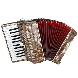 China parrot 25 keys 12 bass 3 register diatonic keyboard accordion piano musical instrument for beginner perform