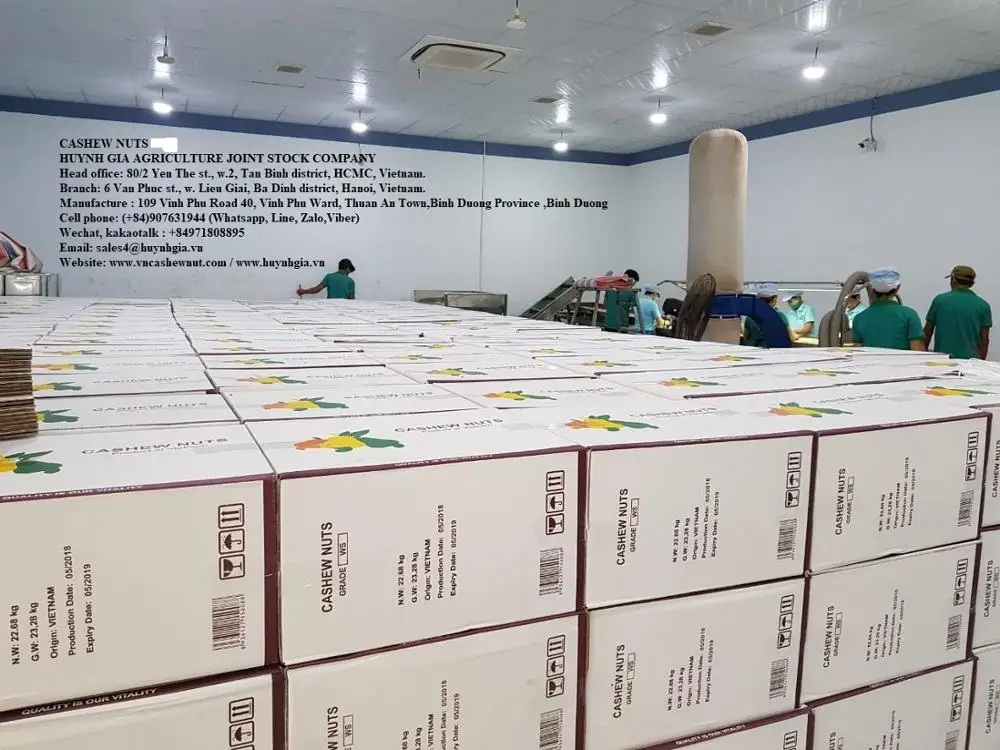 В соответствии со Стандартом AFI, белое целое ГМО, потребление человеком, класс A, максимальный уровень влажности 5%, орехи кешью из Вьетнама