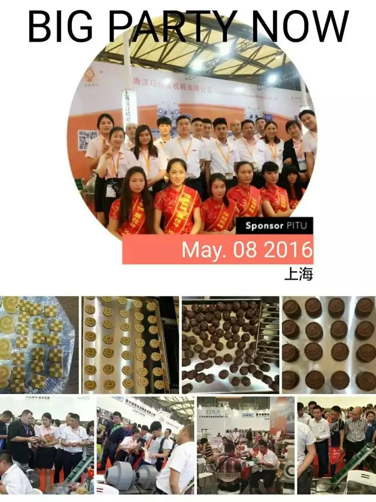 Automatic Fried Rice Ball/Ltalian Arancini Encrusting Machine