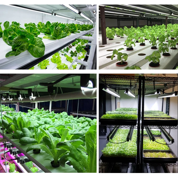 propagator aquaponic system equipment led lamp for indoor grow modular greenhouse kit