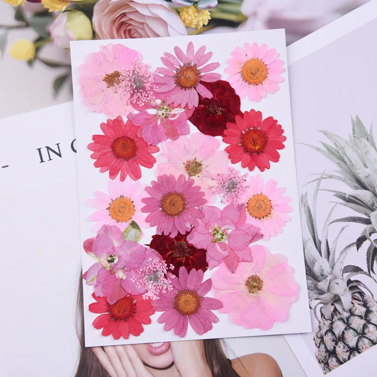 Beautiful Multiple Real Pressed Leaves Natural Dried Flowers for Art Craft Scrapbooking Card Making Resin Jewelry Craft DIY