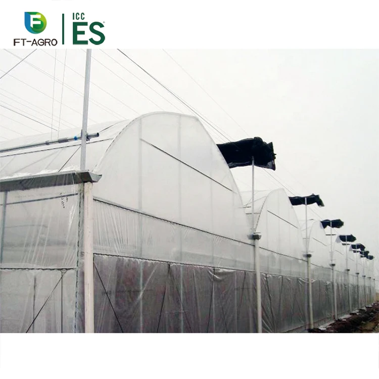 Commercial Hydroponic Systems Growing Greenhouse Vegetables Multi-span Green House with Climate Control System
