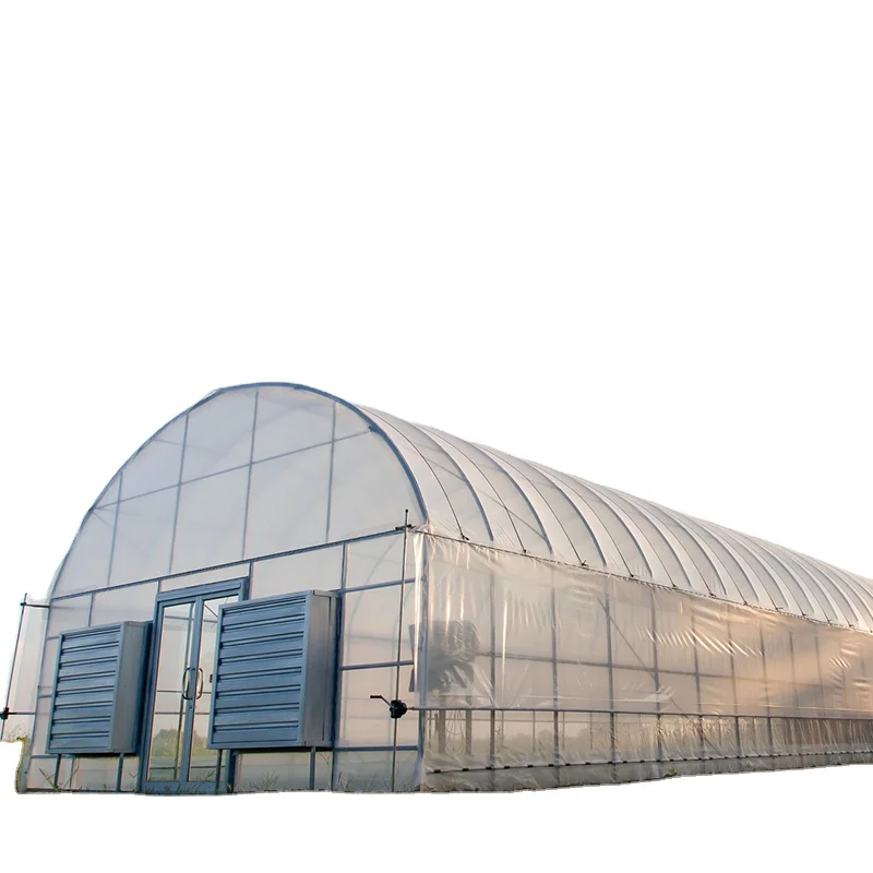 Automatic Temperature Control Planting Flower Greenhouse Supplier Hot Galvanized Steel