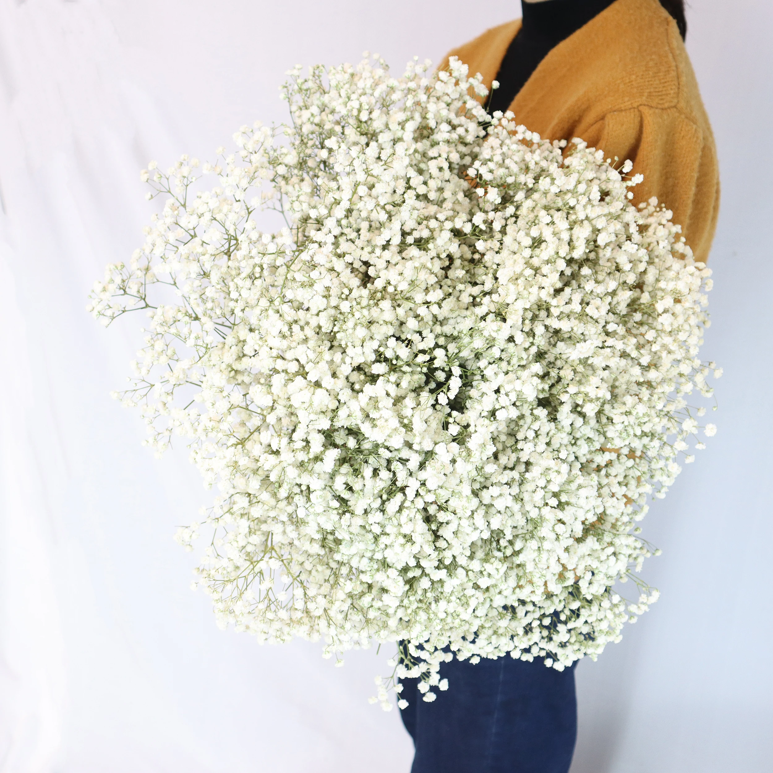 golden supplier dried flower bouquet gypsophila bunches of babies breath white flowers babies breathe baby breath flower dried