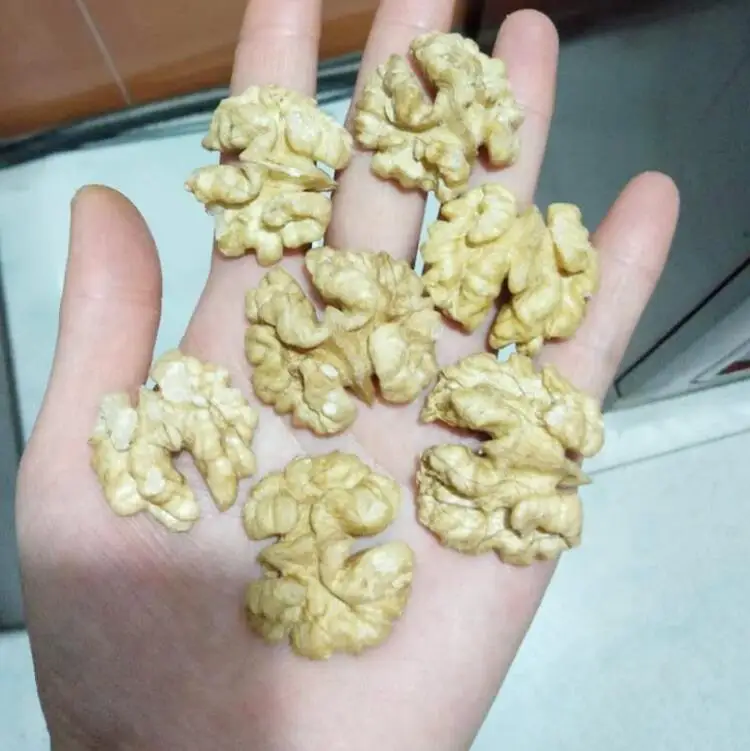 Грецкие орехи в Узбекистане, Турции из Чили