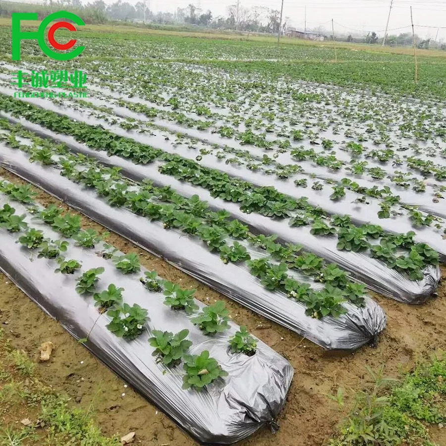 Agricultural Black Plastic Ground Cover Silver&Black Mulching Paper Greenhouse Mulch Film