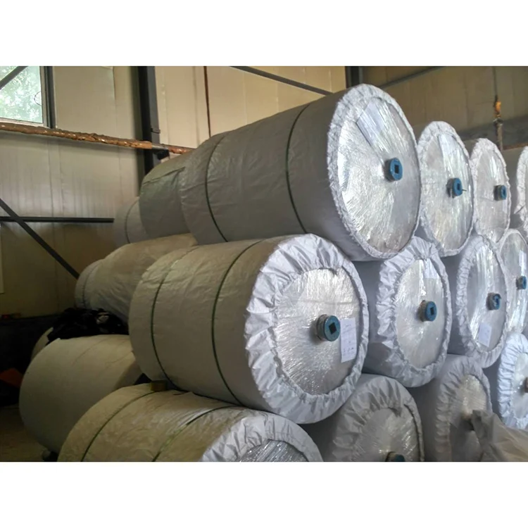 Dipped Nylon 6 NN Canvas for Conveyor