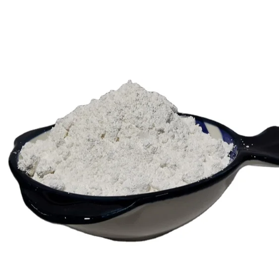 New Arrival Latest Design Caco3 Price 99% Calcium Powder Carbonate