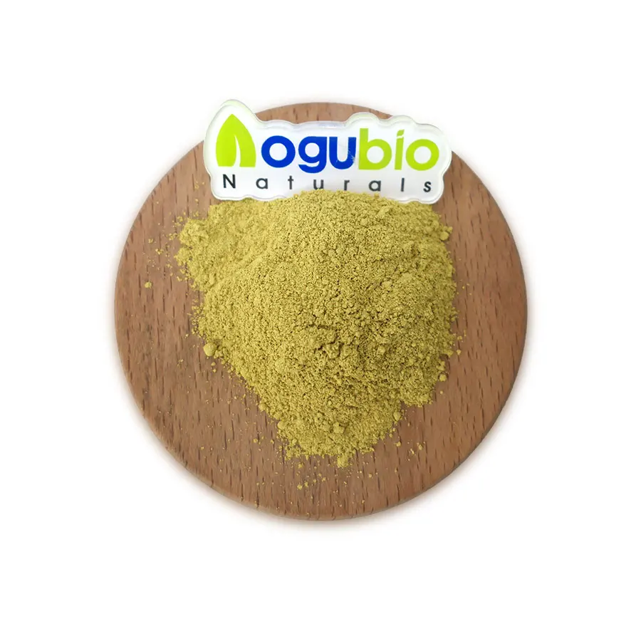 High Quality Isoquercetin Powder Pure Natural Isoquercetin CAS 482-35-9