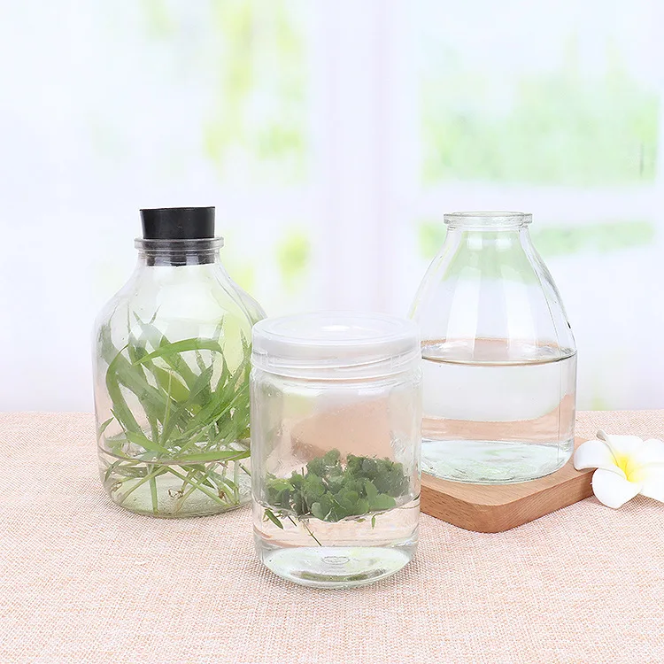 Hot selling 650ml orchids glass tissue culture bottle with breath hole lid wholesale