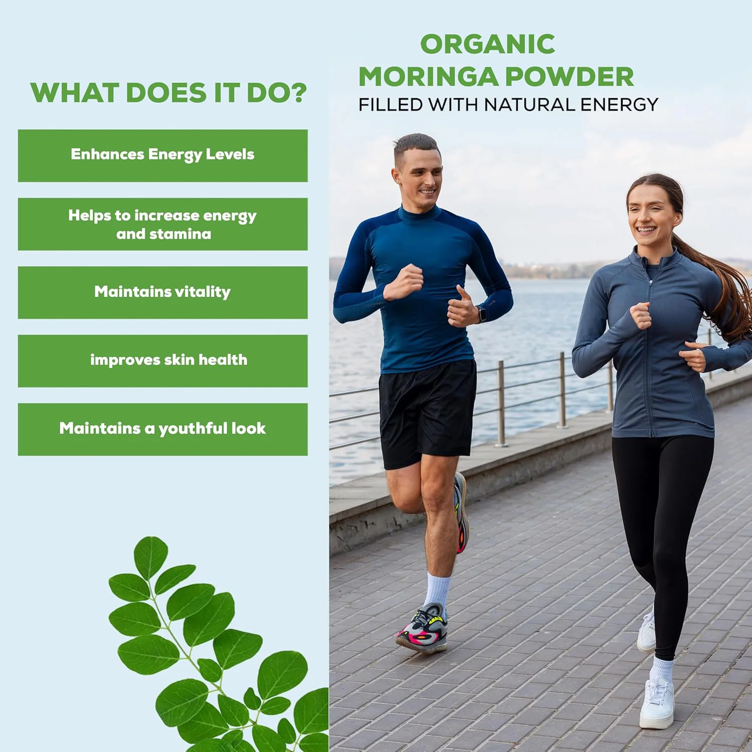 Wholesale Bulk Price Natural Organic Moringa Leaf Extract Super food Moringa Powder