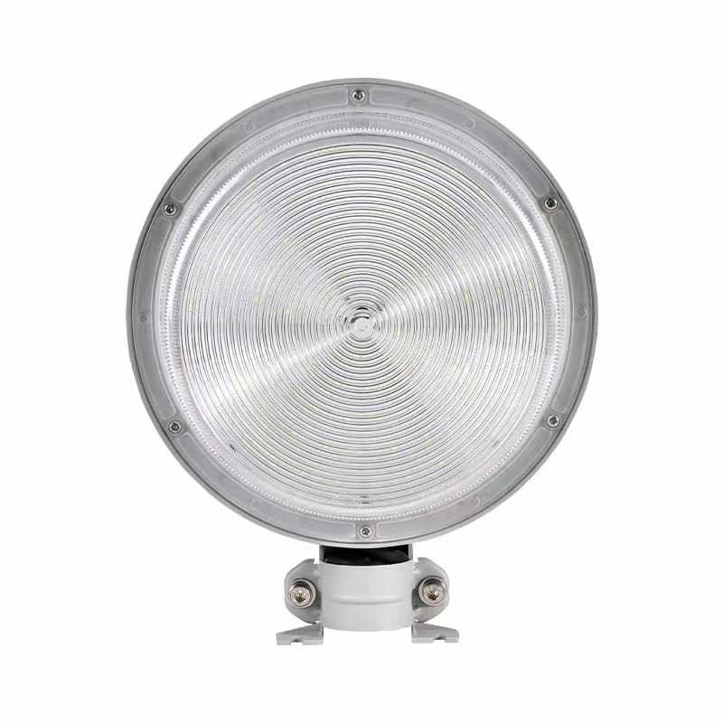 Probe Wall Mounted Street Light