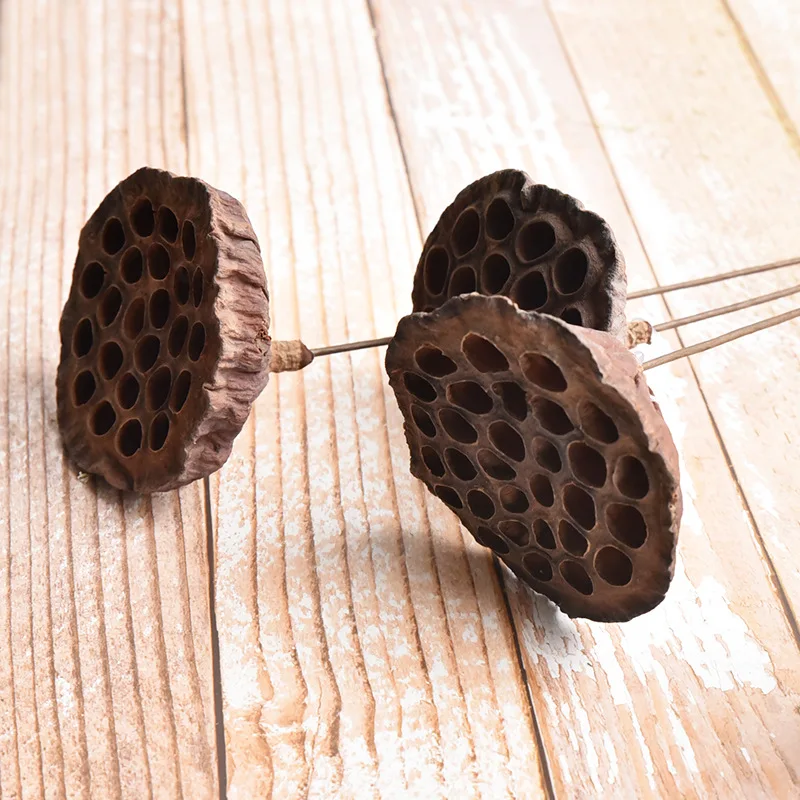 2022 most popular real natural dried seedpod of the lotus for dry Christmas decoration