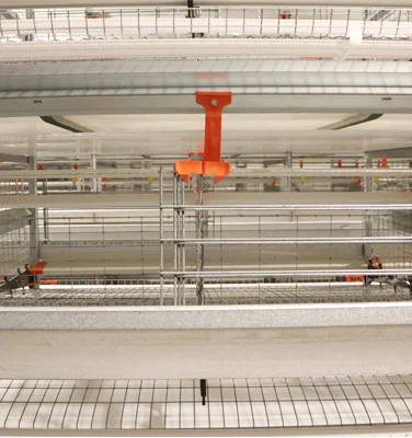 Automatic system broiler chicken cage broiler poultry farming equipment automatic layer cages