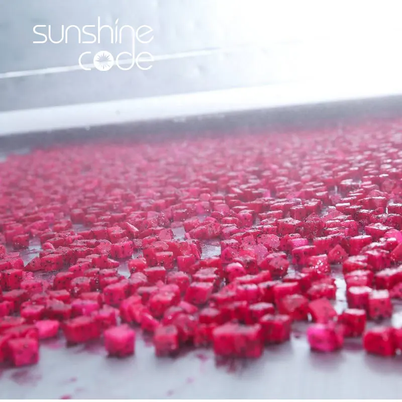 IQF dragon treasure fruita freeze-dried dragon fruit cube dice vietnam red dragon fruit