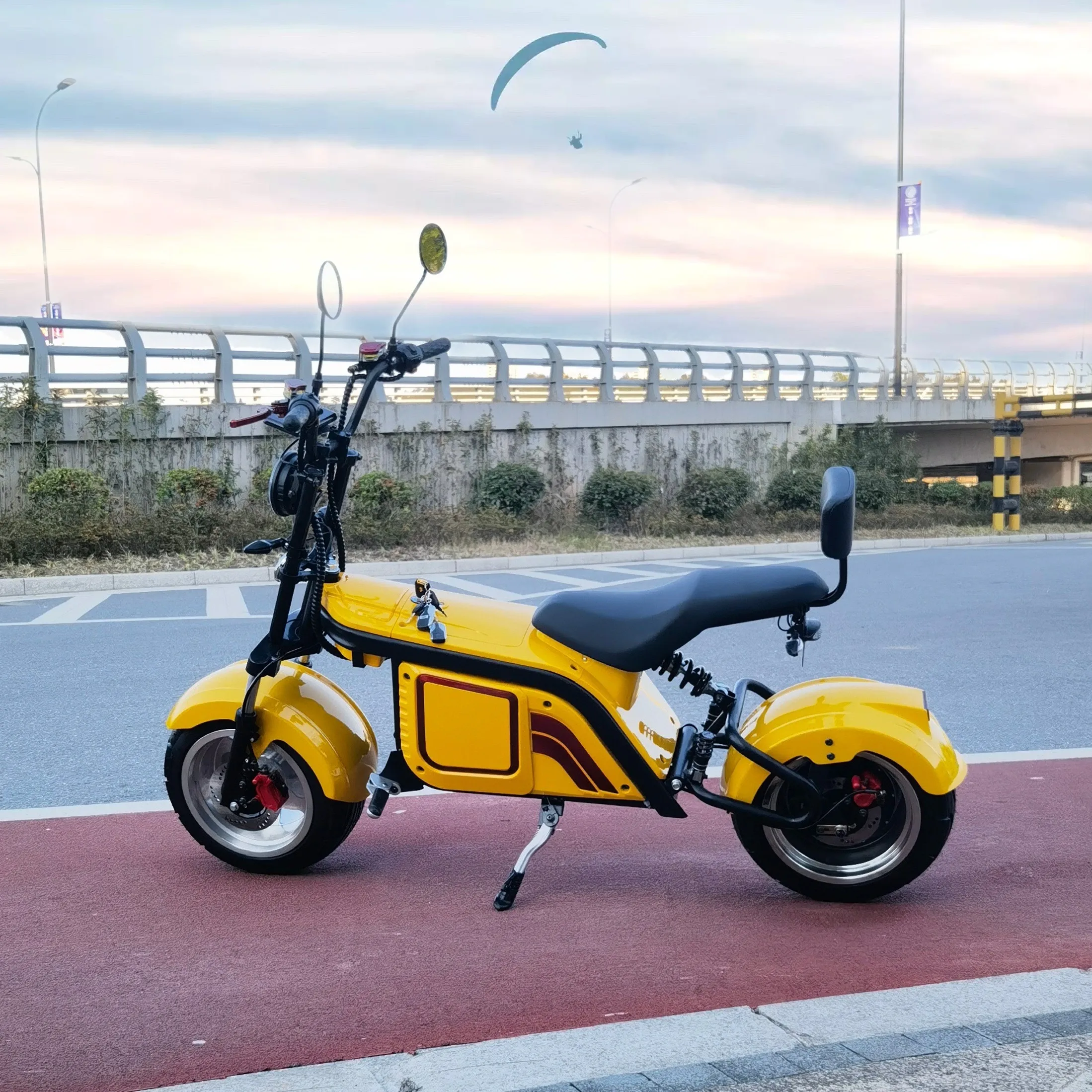 Съемный контроллер EEC 60 в 20 Ач 2000 Вт Fly Leopard elektriвам Chopper Trike электрический мотоцикл Citycoco