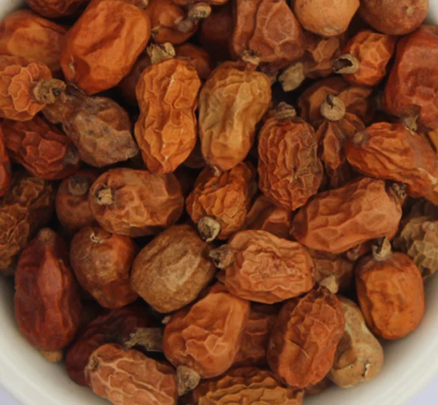 Bulk cheap price Red Chinese raw spice Galanga Galangal fruits for sale