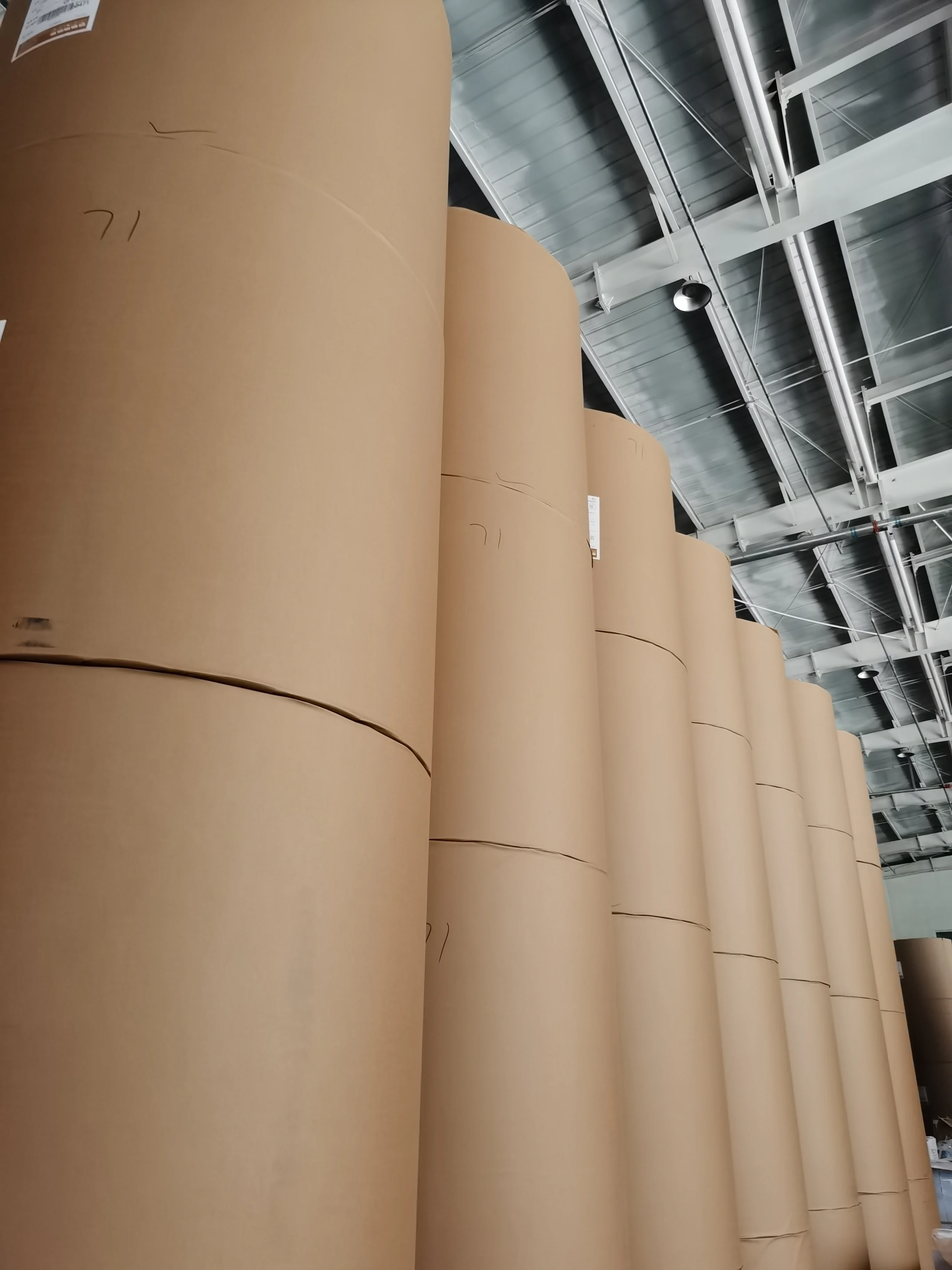 FOCUS brand TOP-grade 100% wood pulp black image 45g/ 48g/ 50g/ 55g/ 65g /70g/ 80g thermal paper Jumbo roll