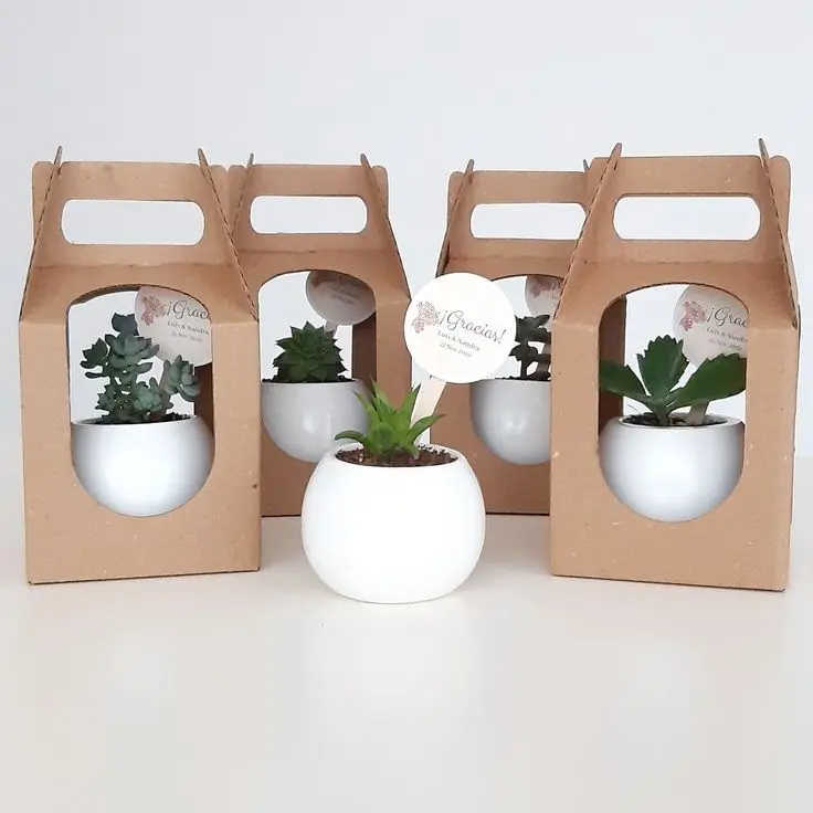 Customized Eco-friendly Kraft Paper Delivery Plant Potted Tray With Handle Packaging for Bouquet and Succulent Tray