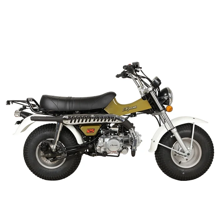 SKYTEAM 125cc E4 4 stroke T-REX RV90 vanvan beach motorcycle dirt bike (EEC EURO3 EURO4 approval)