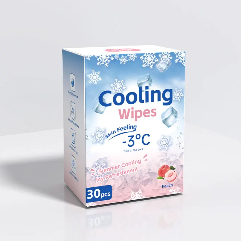 OEM ODM Body Cleaning Wet Wipes Skin Care Wipes Ice Cool Wipes for Adults