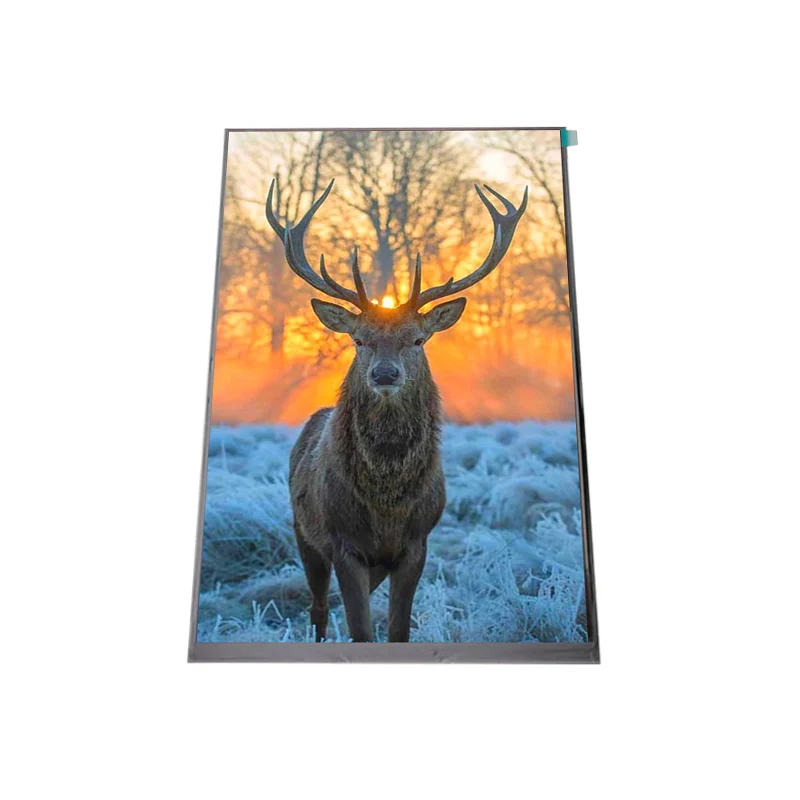 LCM 10.1Inch IPS TFT LCD Display Module with 1200*1920 Capacitive Touch Panel Optional TFT Module for LCD Modules