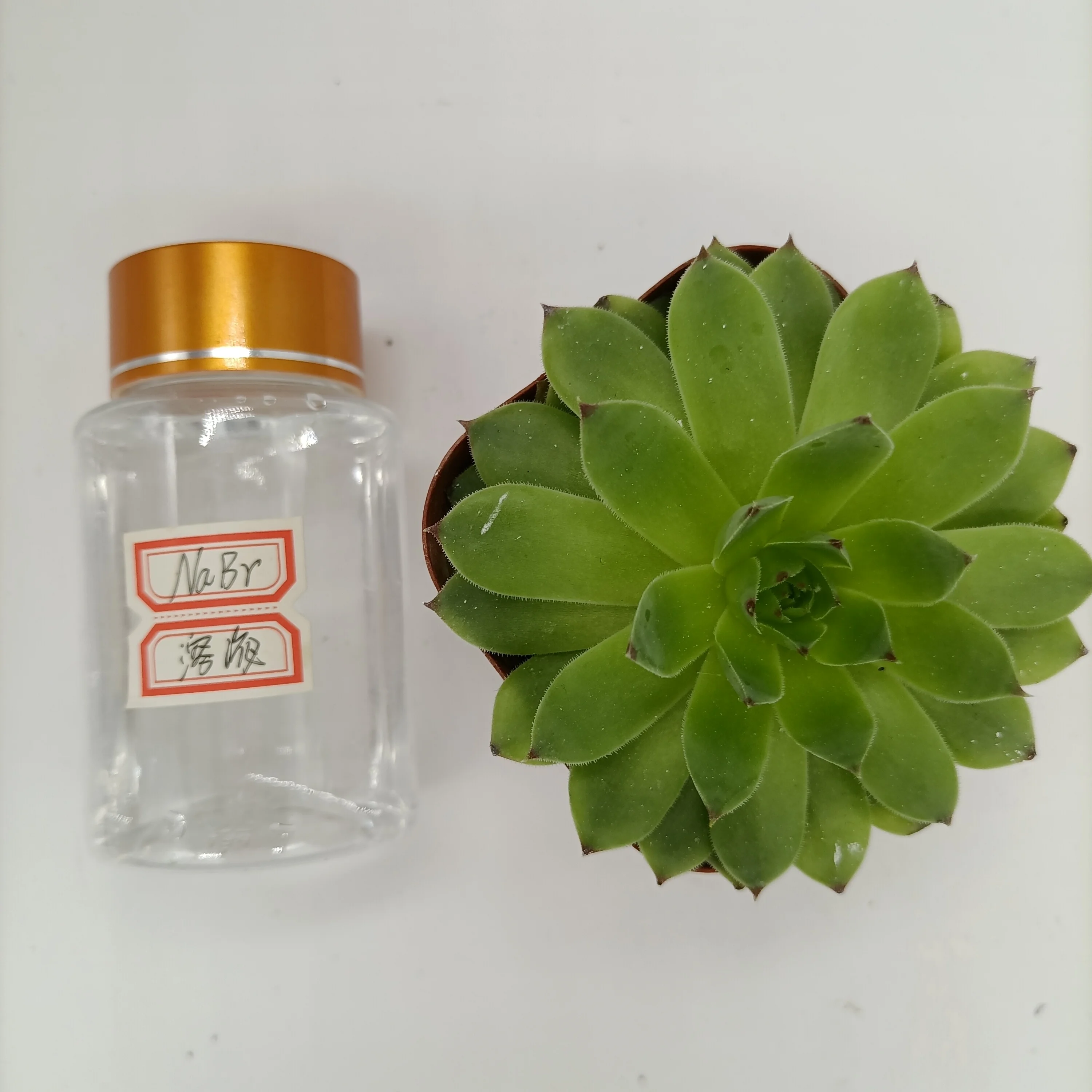 shandong haiwang chemical and best price sodium bromide liquid NaBr clean liquid