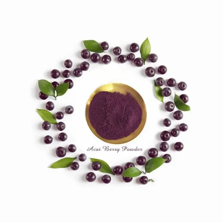 Wholesale Pure Freeze-Dried Acai Berry Powder Natural Fruit Extract with High Protein Content 1kg Minimum Order