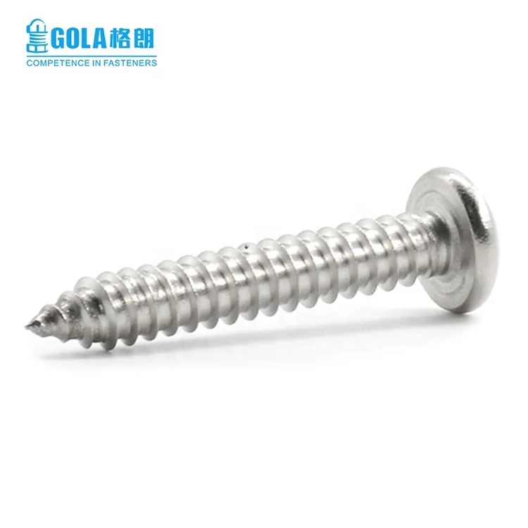Metal Building Material Din7981Stainless Steel Pan Head Phillips Self Tapping Screw