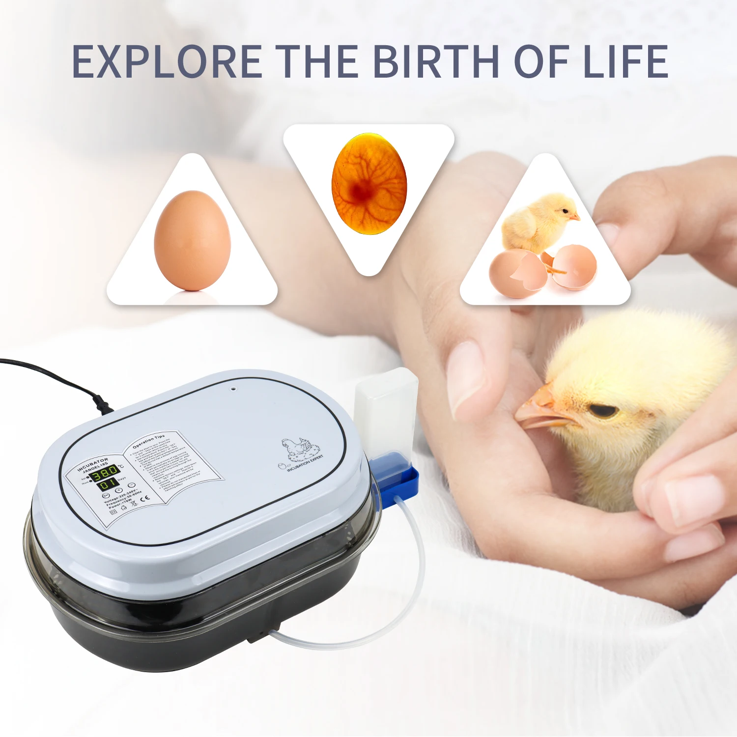 JANOEL Fully Automatic Incubators Automatic Hatching Machine Chicken Egg Incubator and Hatcher