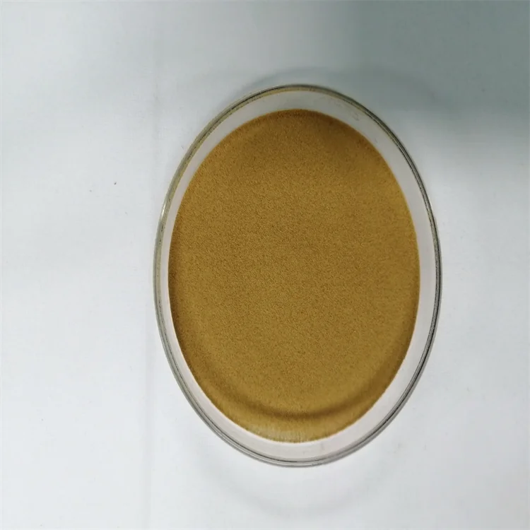 Saccharomyces Cerevisiae Yeast